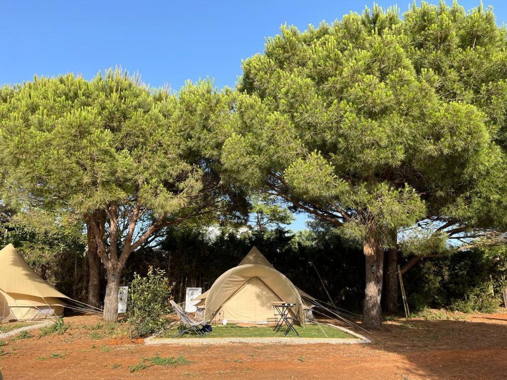 Glamping La Mimosa Conil Hotel โกนิล เด ลาฟรอนเตรา ภายนอก รูปภาพ