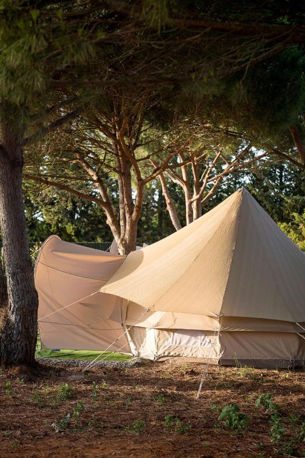 Glamping La Mimosa Conil Hotel โกนิล เด ลาฟรอนเตรา ภายนอก รูปภาพ